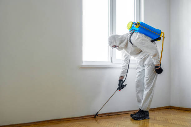 Emergency Pest Control Services in Desoto Lakes, FL